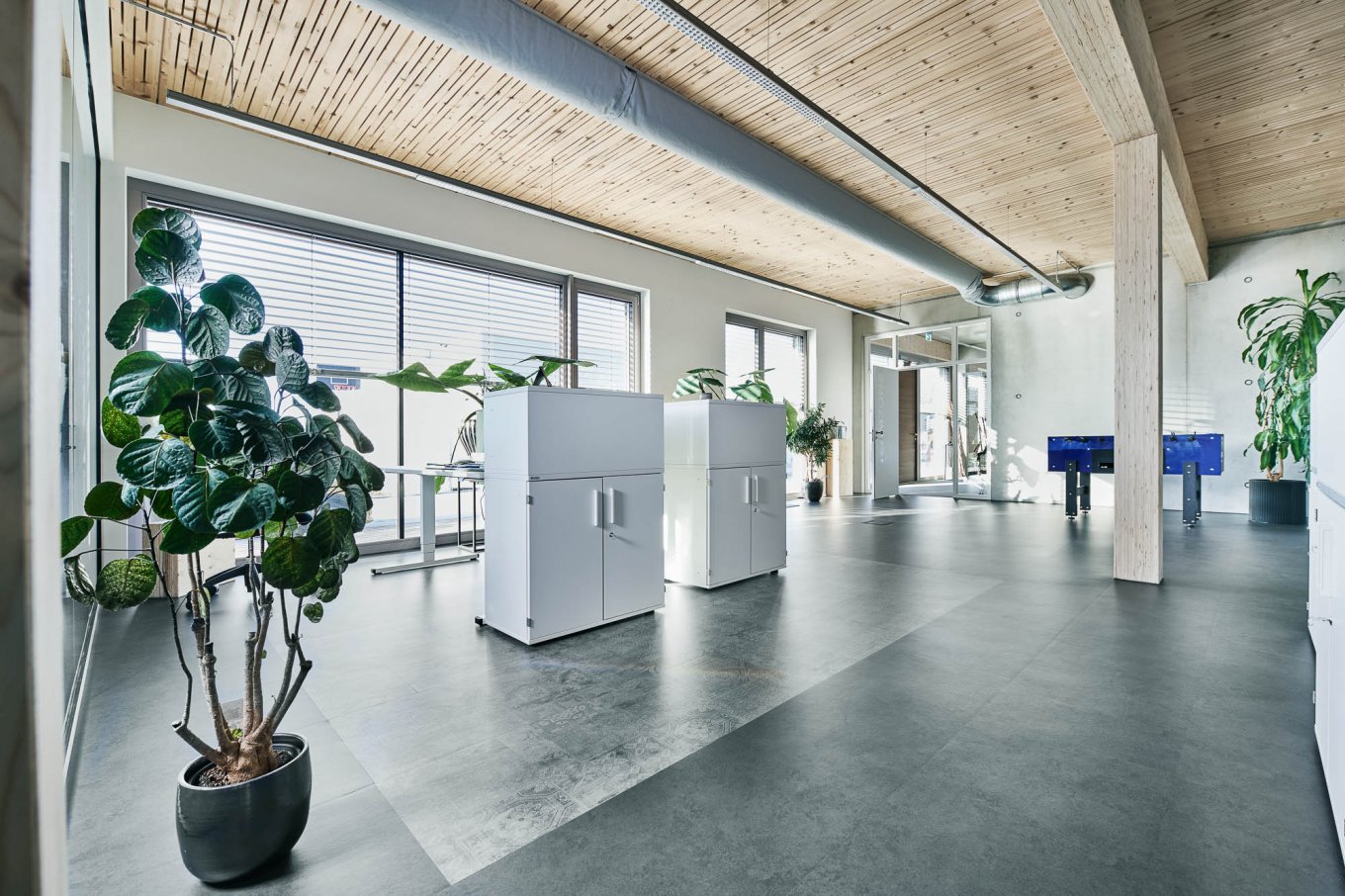 wineo PURLINE Bioboden im Büro dunkle Fliesen Fußboden Bodenbelag moderne Einrichtung Zimmerpflanze