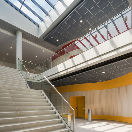 wineo Purline Bioboden Rollenware grau Foyer orange groß Treppen hell 